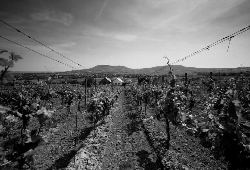 פנסיון Penzion A Vinařství Lelíkovi