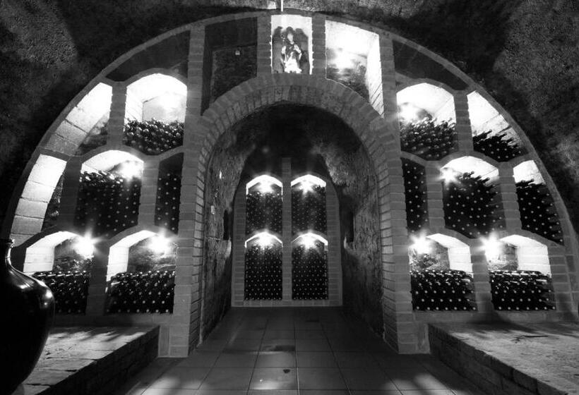 פנסיון Penzion A Vinařství Lelíkovi