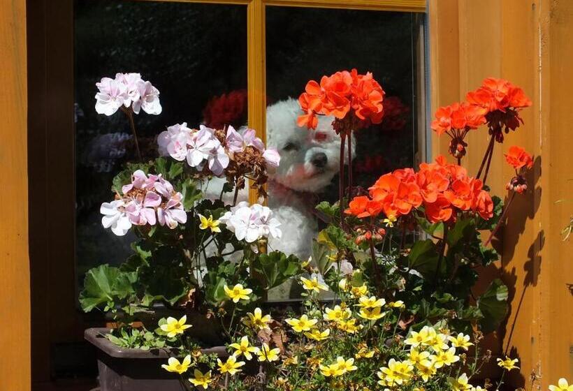 پانسیون Penzion Bouda Tonička