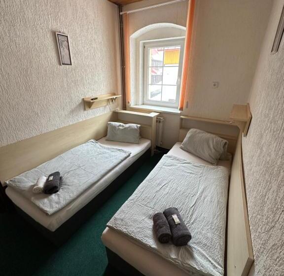 פנסיון Penzion Erika