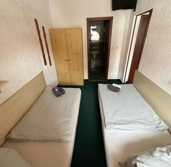 פנסיון Penzion Erika