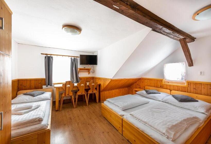 펜션 Penzion černý Vlk