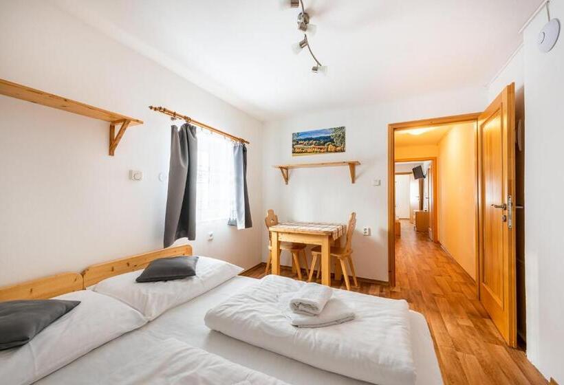 펜션 Penzion černý Vlk