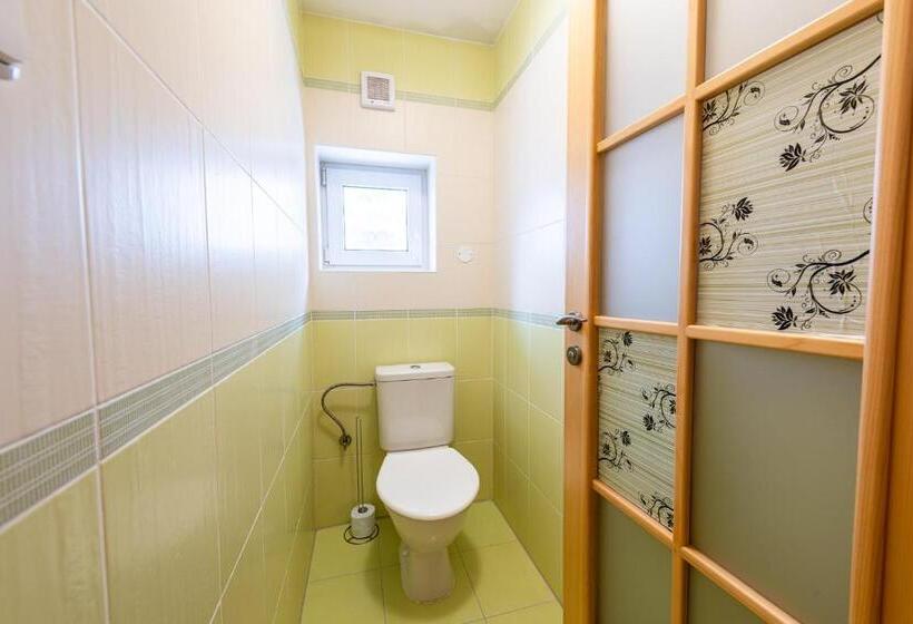 펜션 Penzion černý Vlk