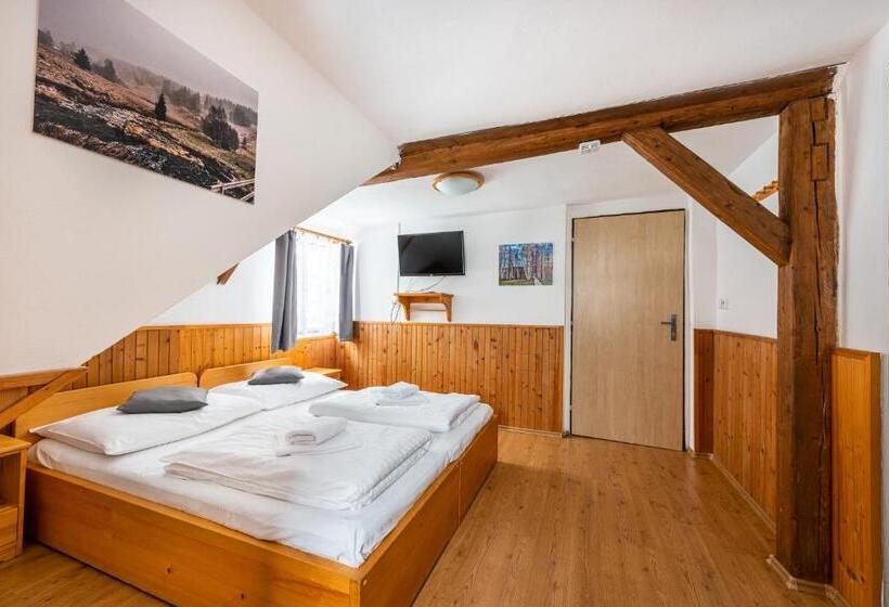 펜션 Penzion černý Vlk