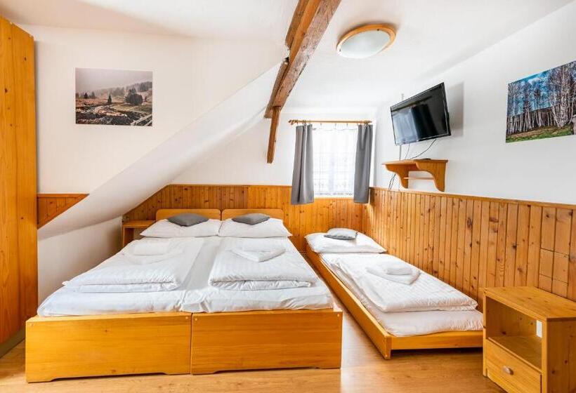 펜션 Penzion černý Vlk