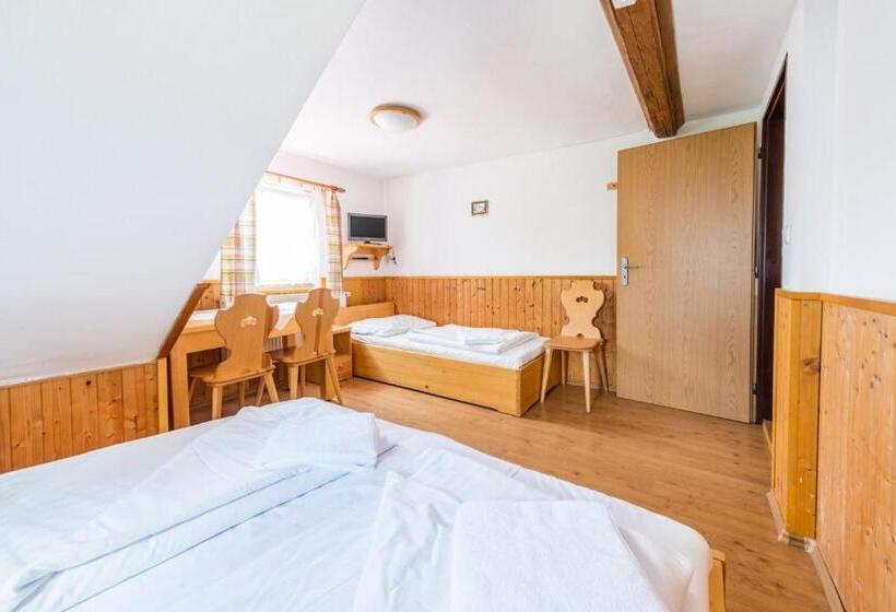 펜션 Penzion černý Vlk