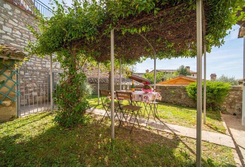 پانسیون Terrazza Santa Chiara