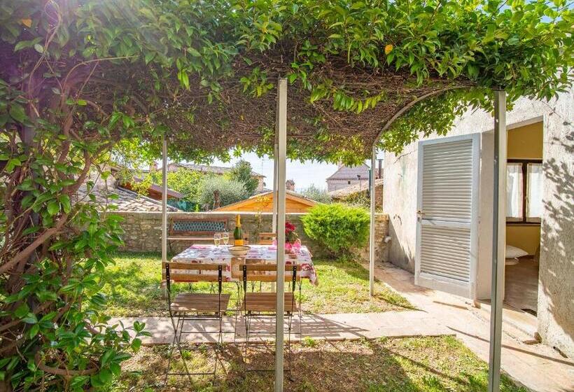 پانسیون Terrazza Santa Chiara