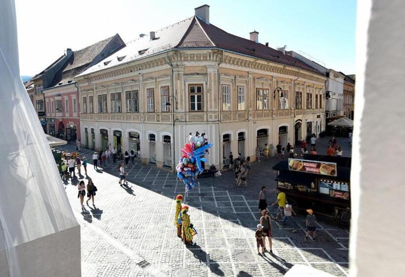 펜션 Top Royal Central Brasov