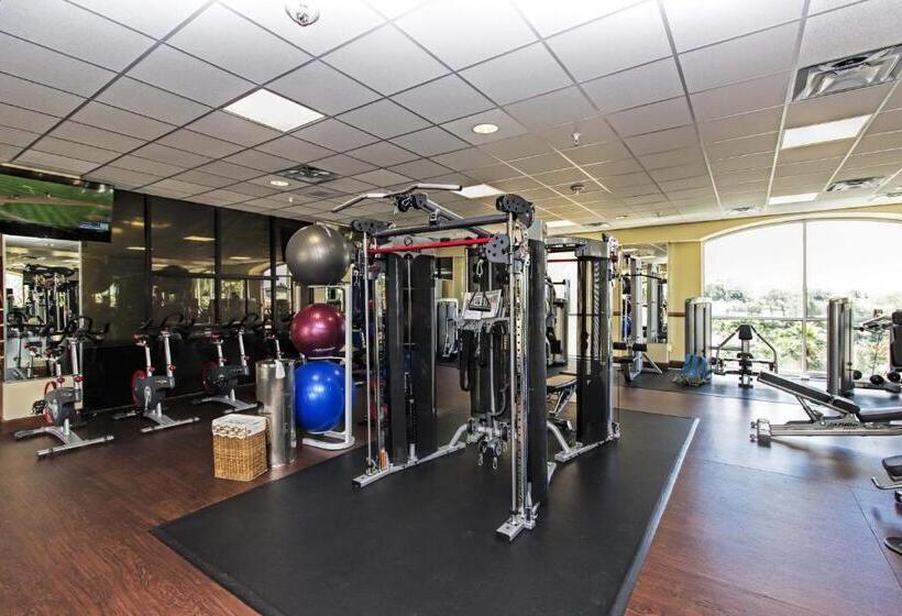 Stunning Condo Near Universal Studios