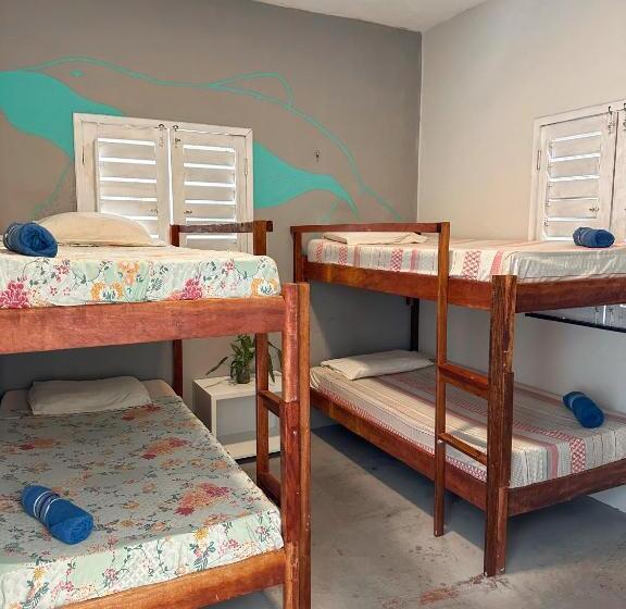 Vila Da Sereia Hostel E Pousada