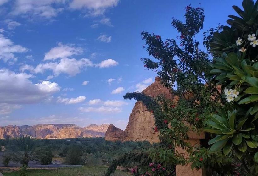 الجوهرة Diamond Plus