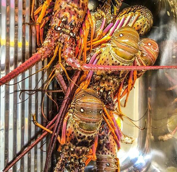 A Casa Di Oba, A Pochi Minuti Dal Mare