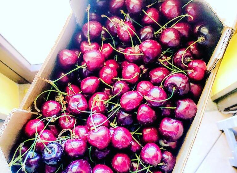 A Casa Di Oba, A Pochi Minuti Dal Mare