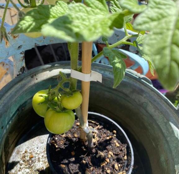 A Casa Di Oba, A Pochi Minuti Dal Mare