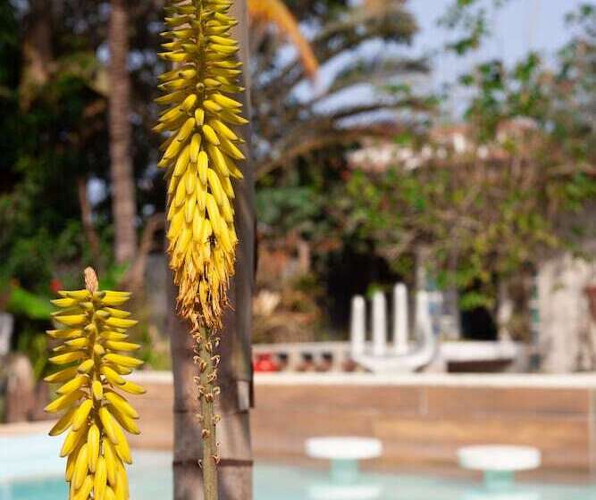 ユースホステル Jardim Secreto Guest House