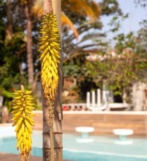 ユースホステル Jardim Secreto Guest House