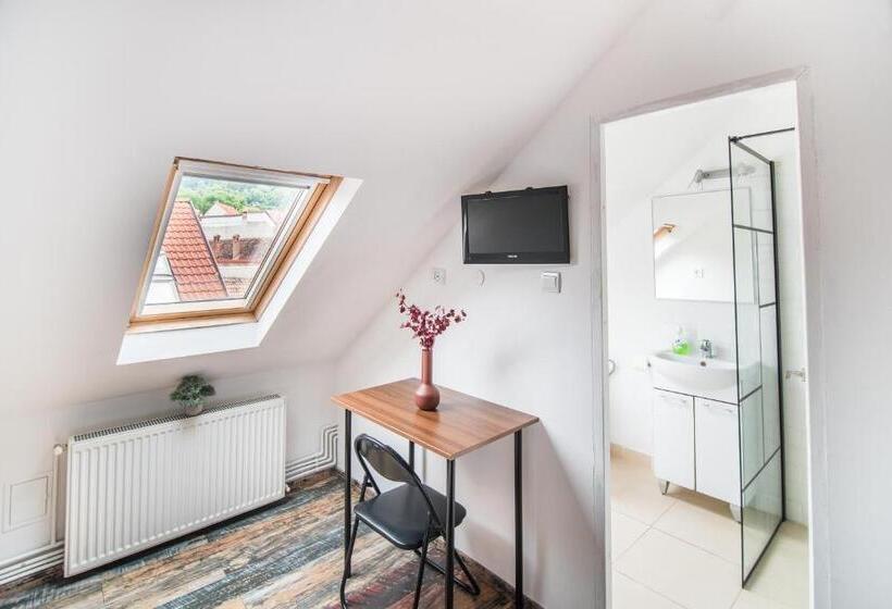 הוסטל Transylvania Guest House