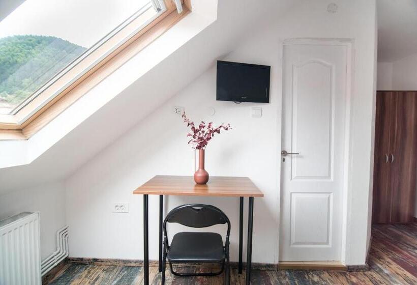 הוסטל Transylvania Guest House