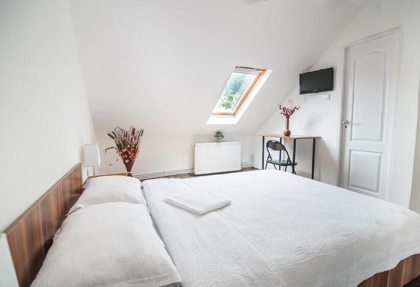 הוסטל Transylvania Guest House