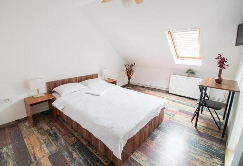 הוסטל Transylvania Guest House