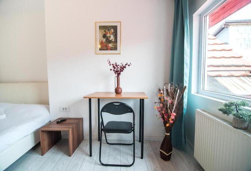 הוסטל Transylvania Guest House