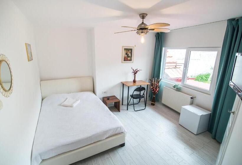 הוסטל Transylvania Guest House