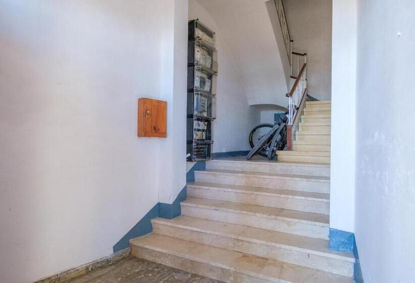 Apartamento Las Palmeras 2