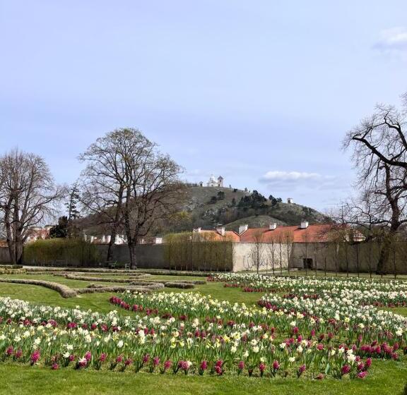 Apartmány Koněvova