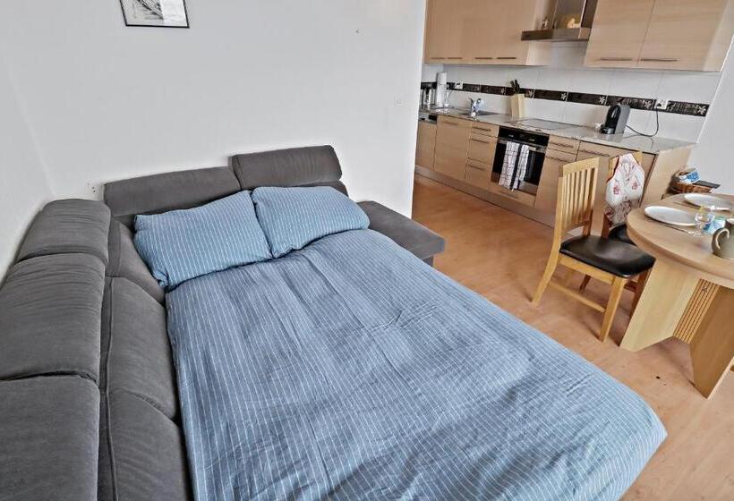 Appartement Chaleureux Avec Une Magnifique Vue