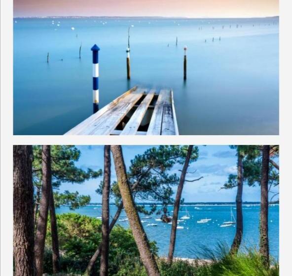 Appartement Vue Sur Baie Et Océan, 100 M De La Plage Et Du Centre Par Chemin Privé