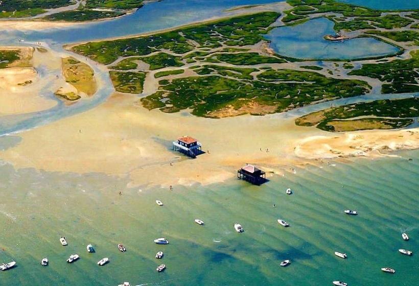 Appartement Vue Sur Baie Et Océan, 100 M De La Plage Et Du Centre Par Chemin Privé
