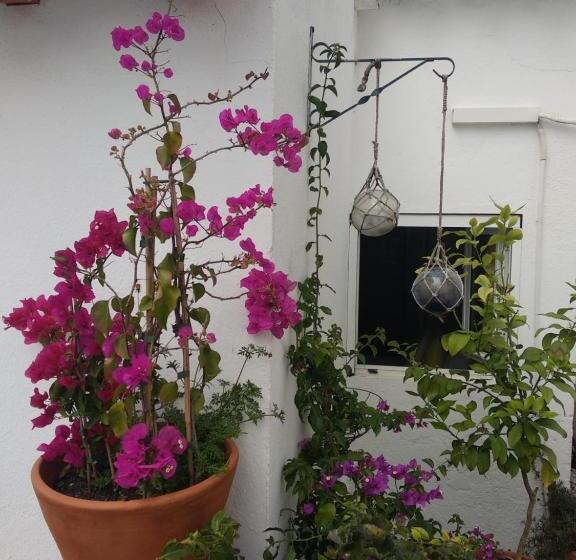 Bea S Bed & Breakfast