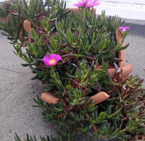 Bea S Bed & Breakfast