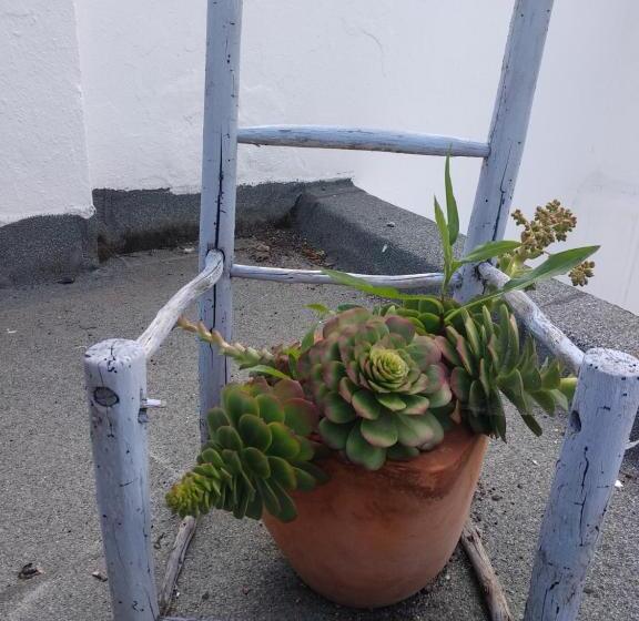 Bea S Bed & Breakfast