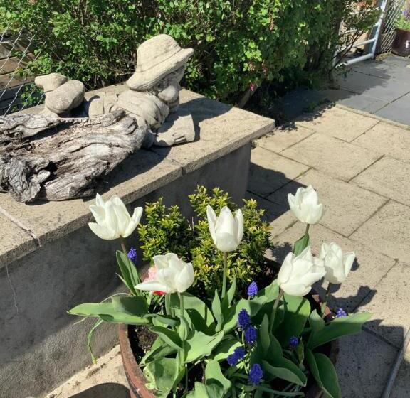 Bed and Breakfast Babas Rooms