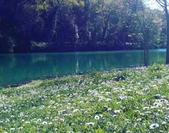 مبيت وإفطار La Mouette