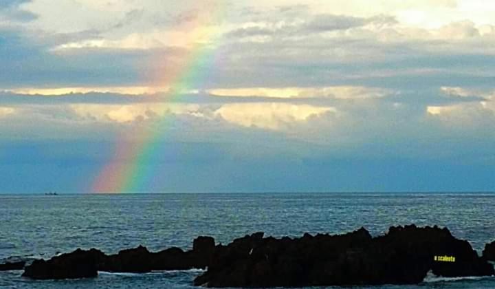 住宿加早餐 Rosy House