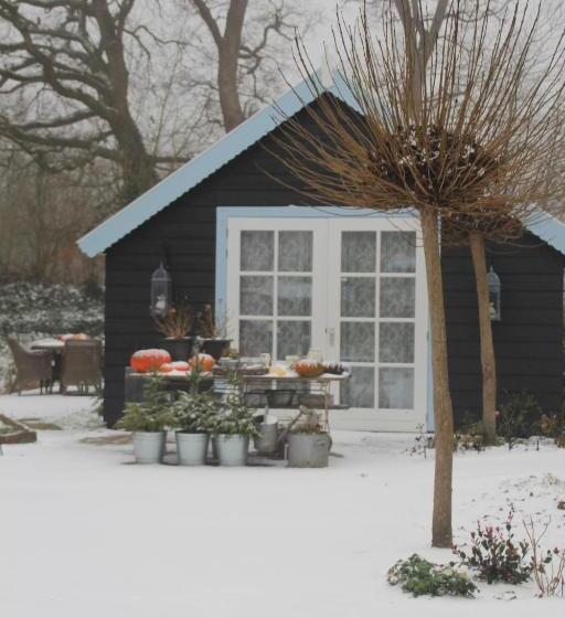 Bed & Breakfast De Appelaar