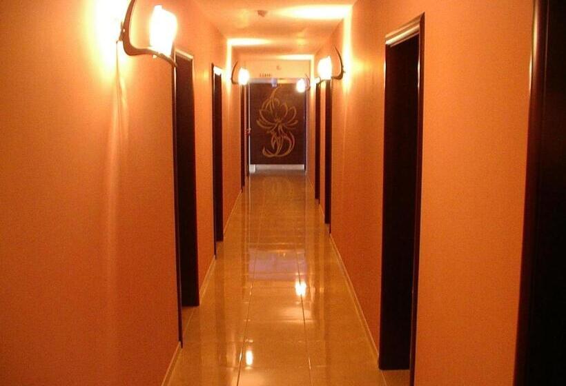 Otel мотел сити