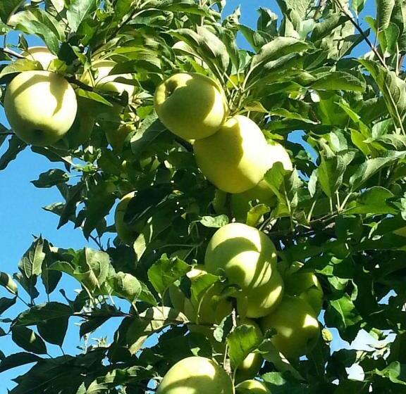 בית מלון כפרי Agritur Coryletum