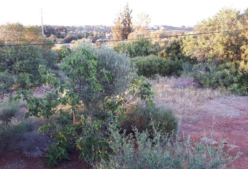 فندق Guest House Almeixar