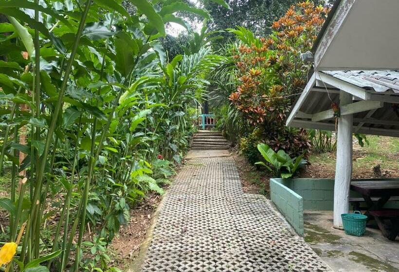 Hotel ทับศิลารีสอร์ท Tubsila Resort