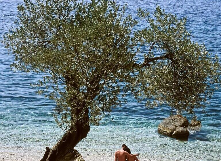 Liparis 3 Agritourism & Mediterranean Cuisine , Holiday, Aquapark , Beach