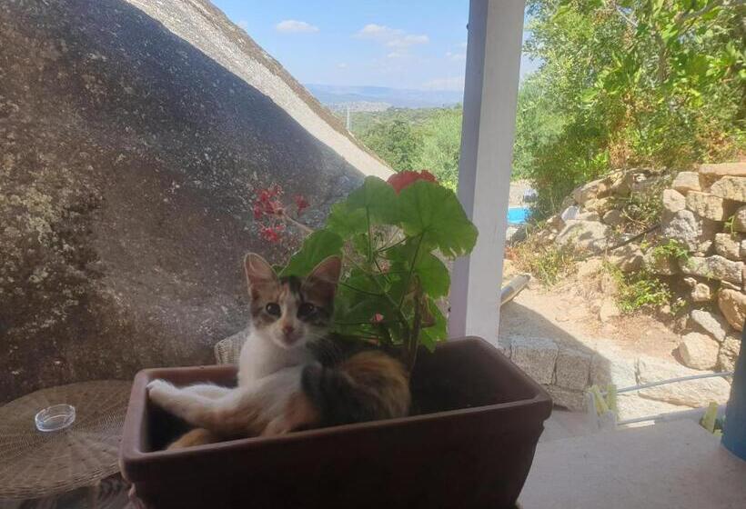 بنسيون B&b Tiscali