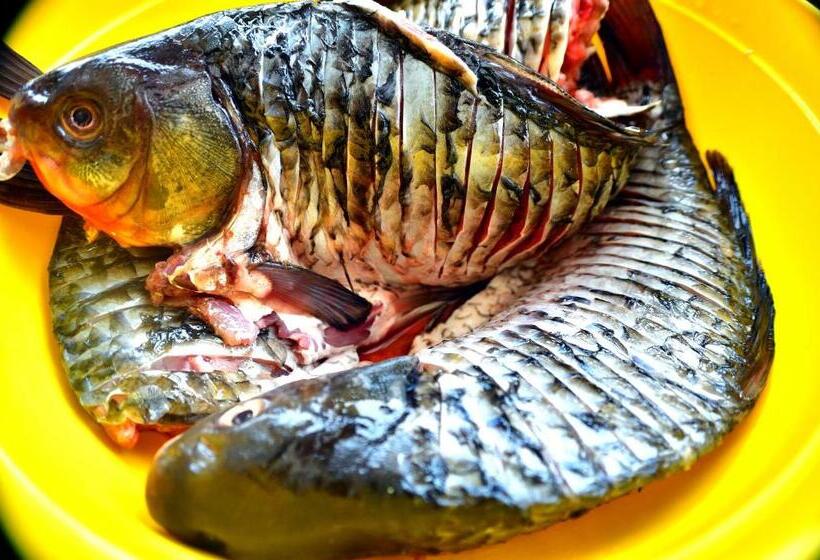 Пансион Casa Carter