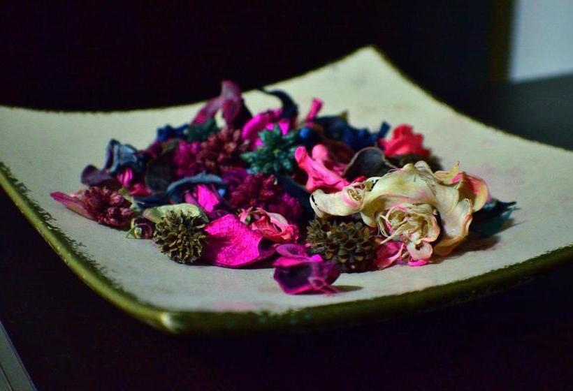 Пансион Casa Carter