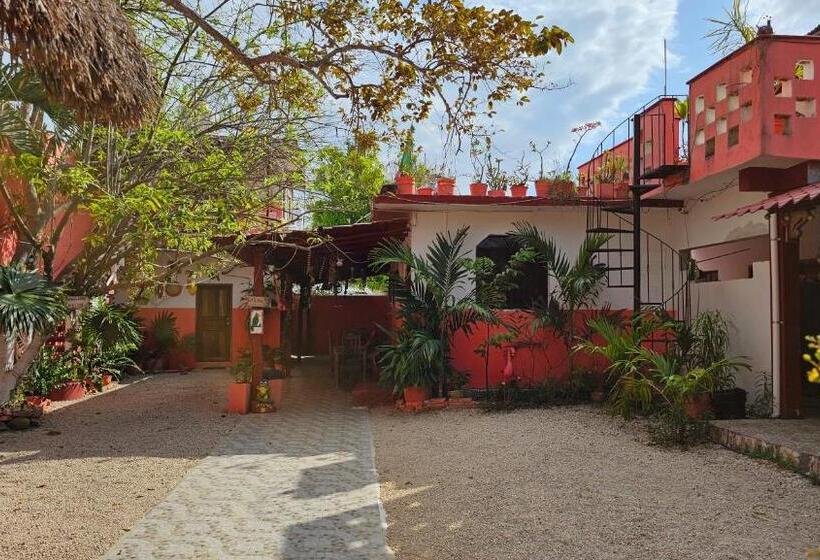 بنسيون Casa Coral