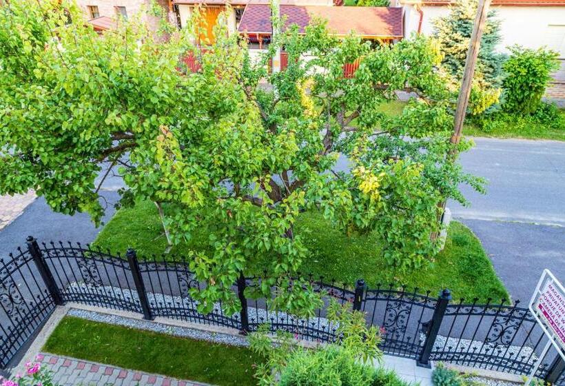 Пансион Csontos Vendégház